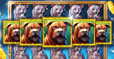 Royale Jackpot Selection de Jeux Royale Jackpot Selection de Jeux